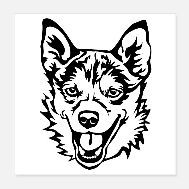 Lundehund norvégien Poster 20 x 20 cm