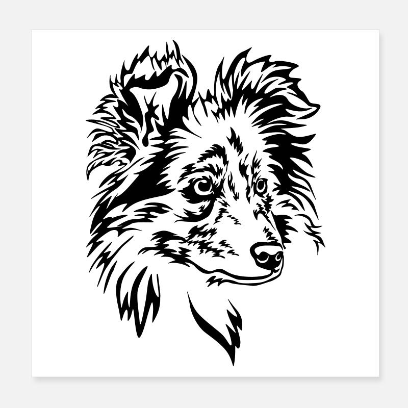Sheltie Kopf Poster 20x20 cm