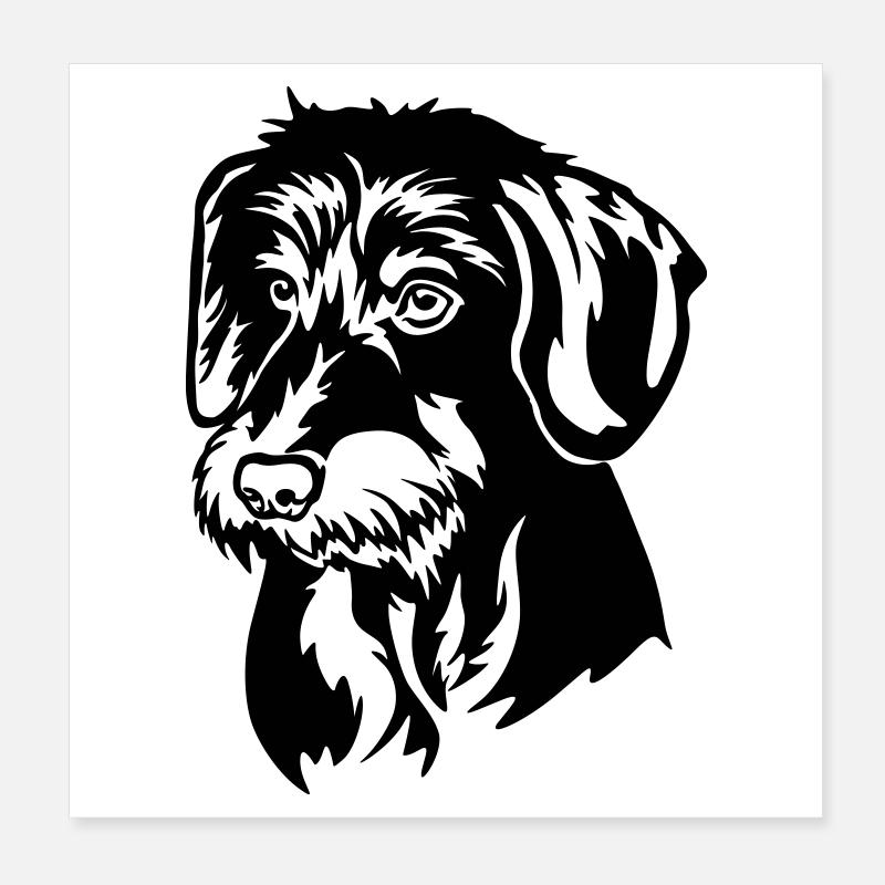 Tête de teckel Poster 20 x 20 cm