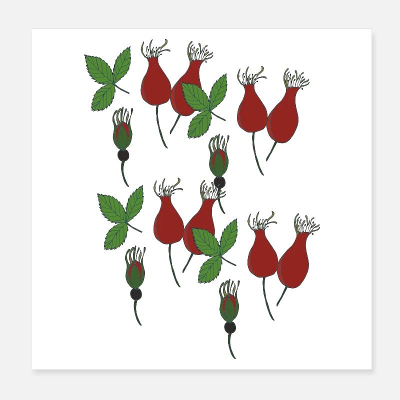 rose hip Poster 8" x 8" (20x20 cm)