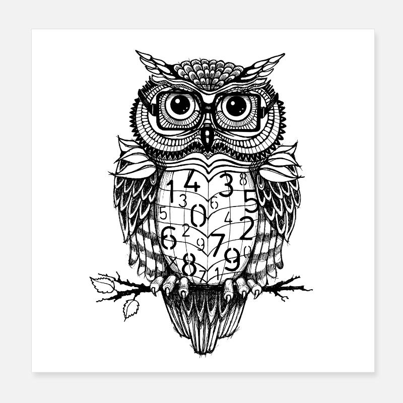 Smart Owl Math Numbers | STEM, Science, Professors Poster 8" x 8" (20x20 cm)