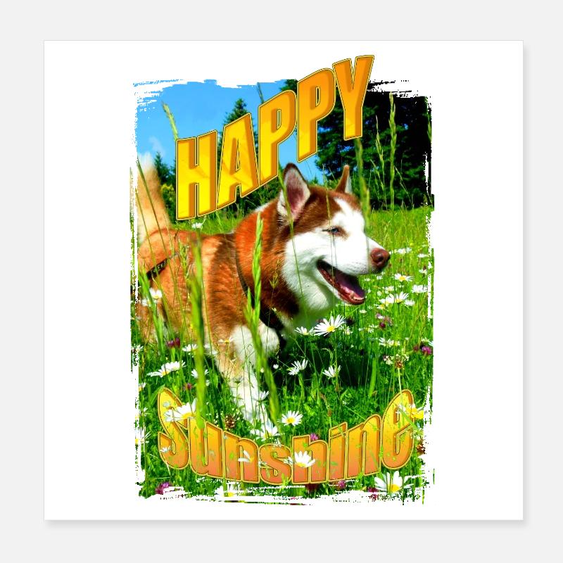 Fröhlicher Hund im Blumenfeld Poster 20x20 cm