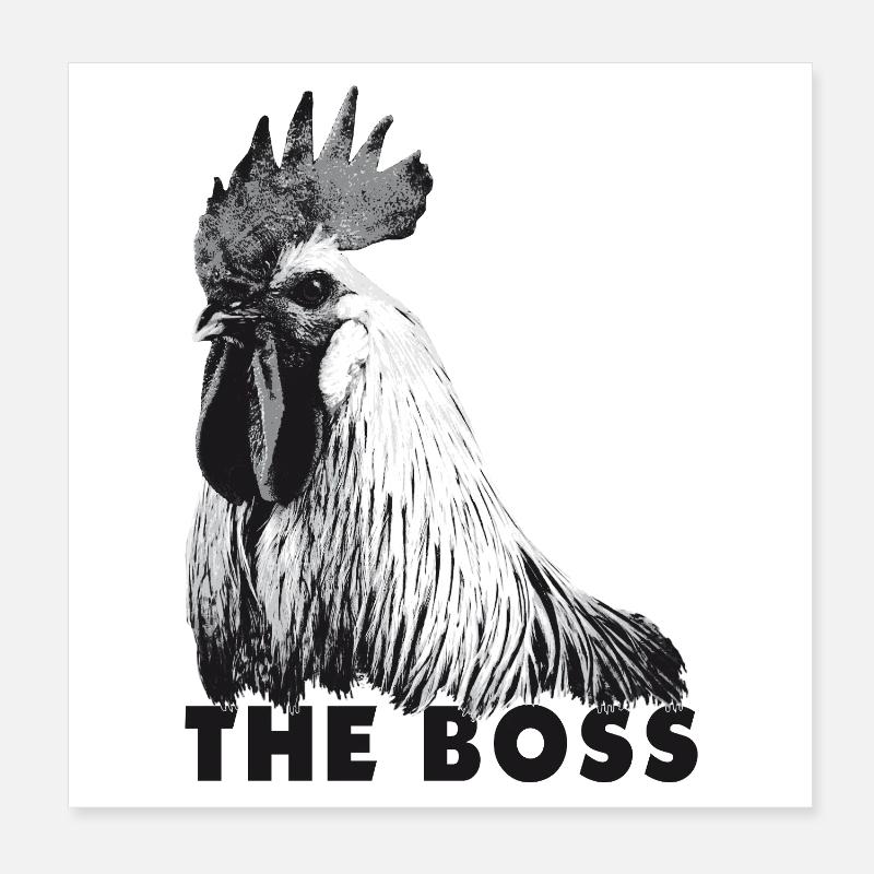 Hahn der Chef Poster 8" x 8" (20x20 cm)