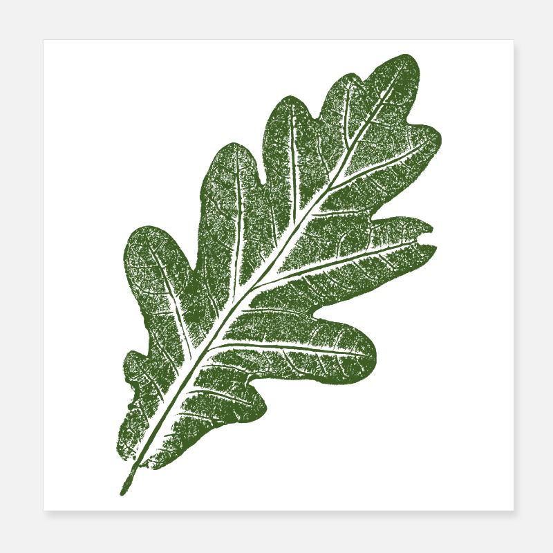 Eichenblatt / Grün Poster 20x20 cm