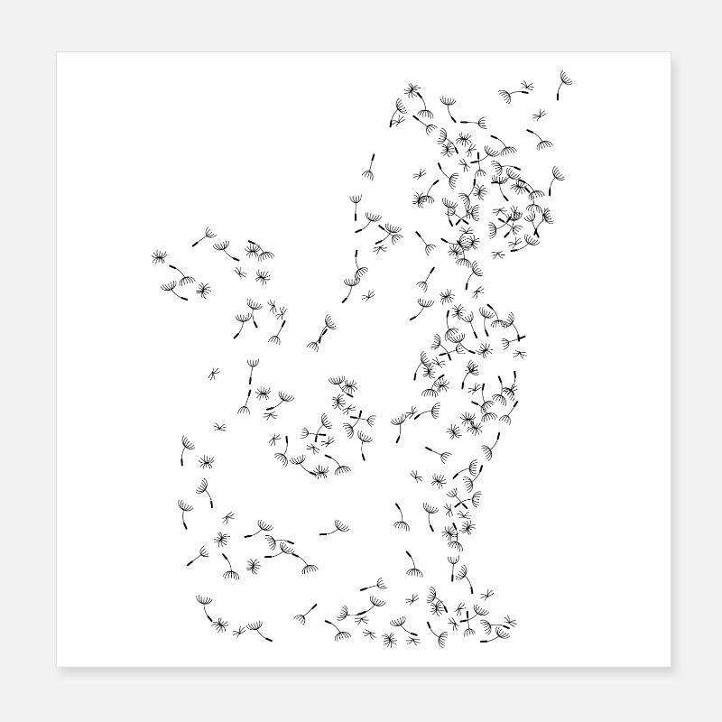 Pissenlit de chat Pissenlit Poster 20 x 20 cm