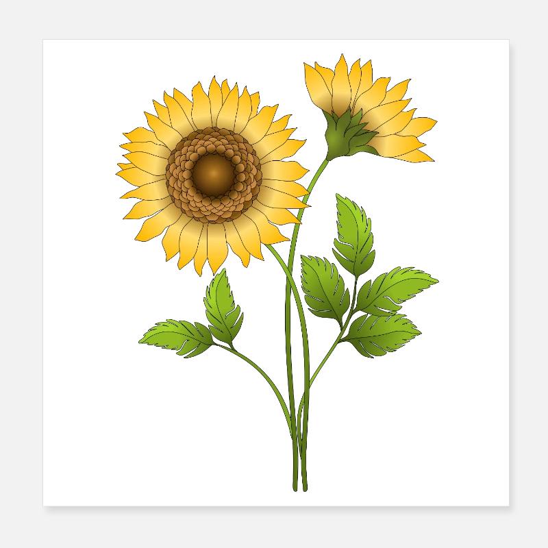 Blumen Poster 20x20 cm