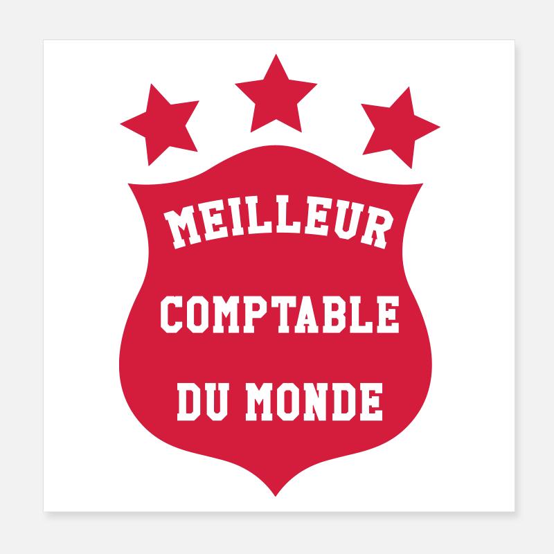 Accountant / Accounting / Comptable / Comptabilité Poster 8" x 8" (20x20 cm)