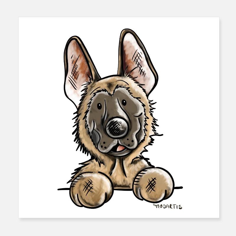 Neugieriger Malinois Poster 20x20 cm