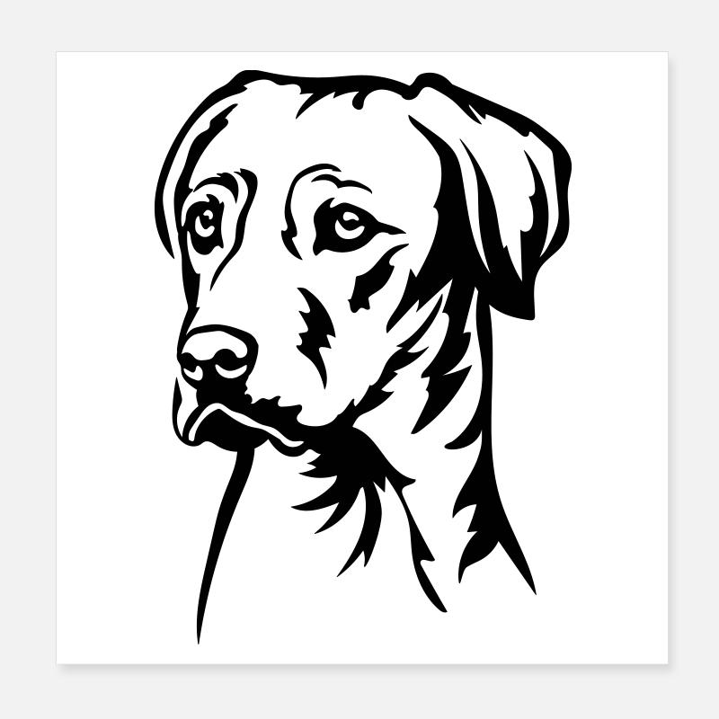 Rhodesian Ridgeback Head Poster 8" x 8" (20x20 cm)