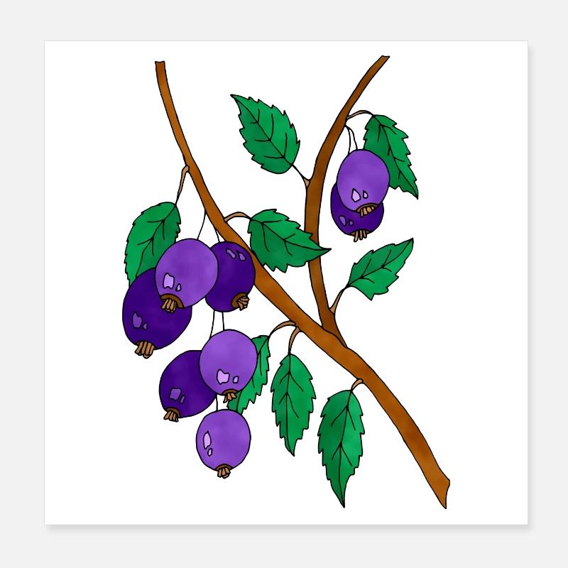 Pflaumen Poster 20x20 cm