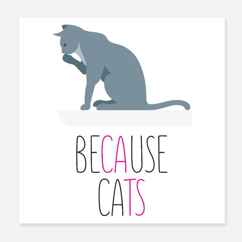 Parce que les chats Poster 20 x 20 cm