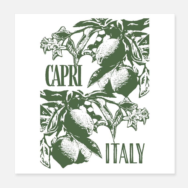 CAPRI ITALIEN Poster 20x20 cm