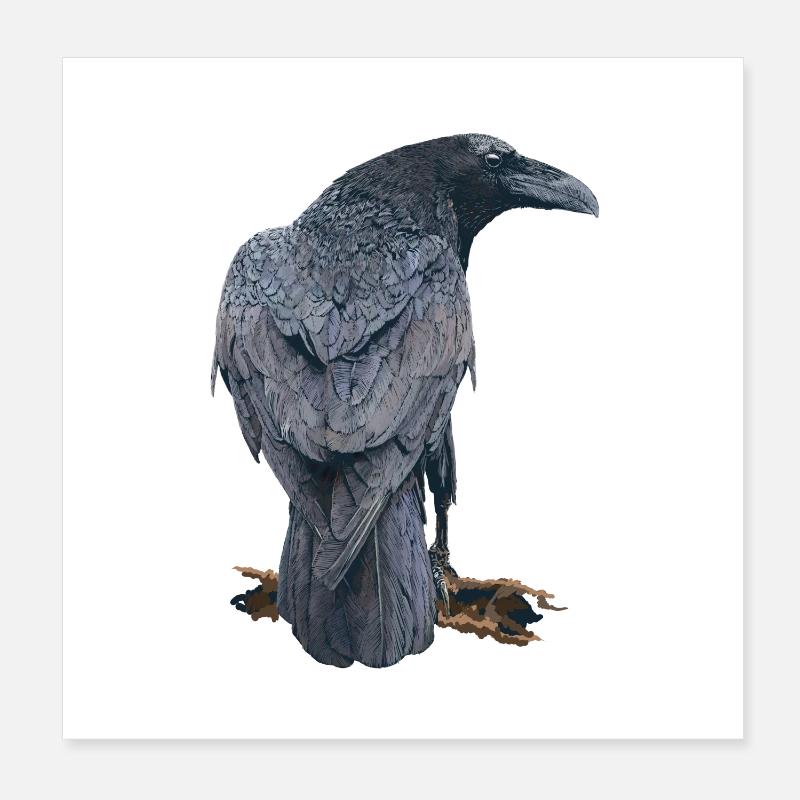 Crow Poster 20 x 20 cm