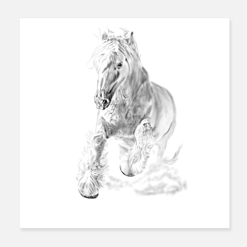 Pferd Poster 20x20 cm