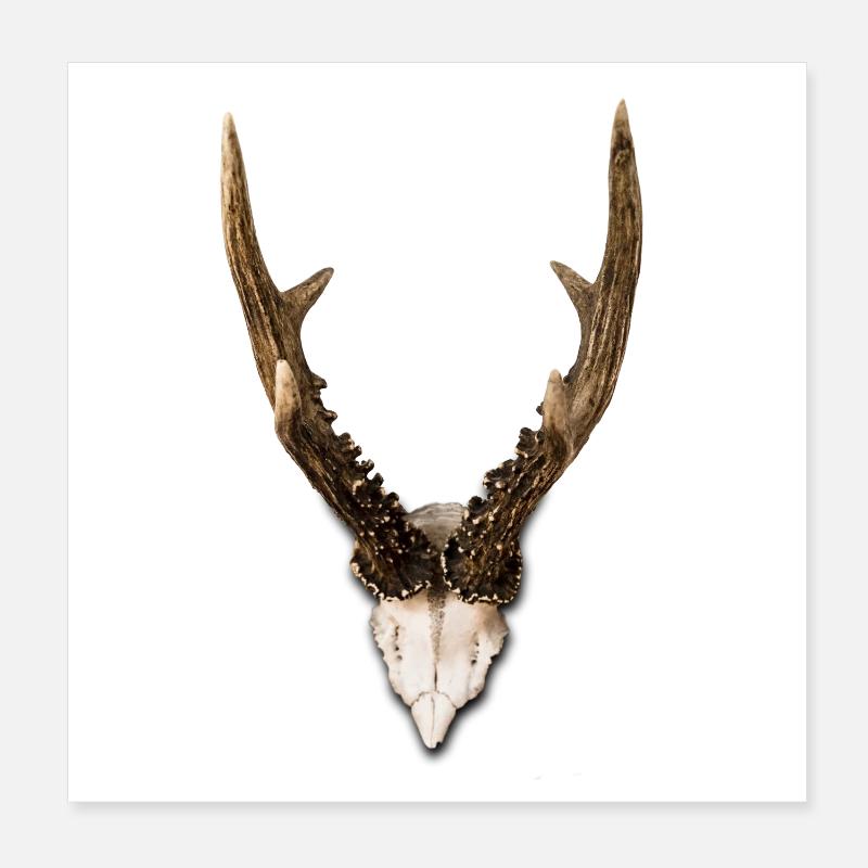 Geweih Poster 20x20 cm
