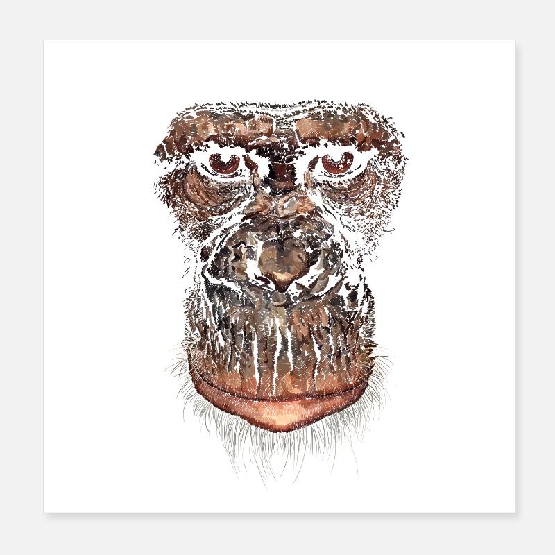 Affe Poster 20x20 cm