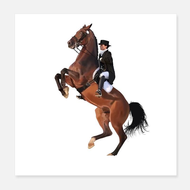 Cavalier élégant sur cheval cabré Poster 20 x 20 cm