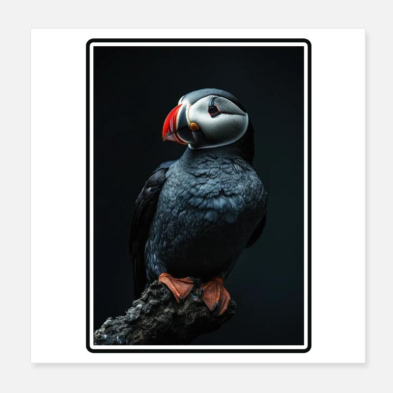 Puffin Papageientaucher Poster 20x20 cm