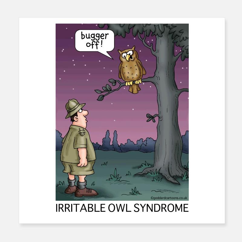 Irritable Owl Syndrome Poster 8" x 8" (20x20 cm)