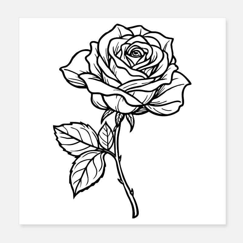 Fleur de rose Poster 20 x 20 cm