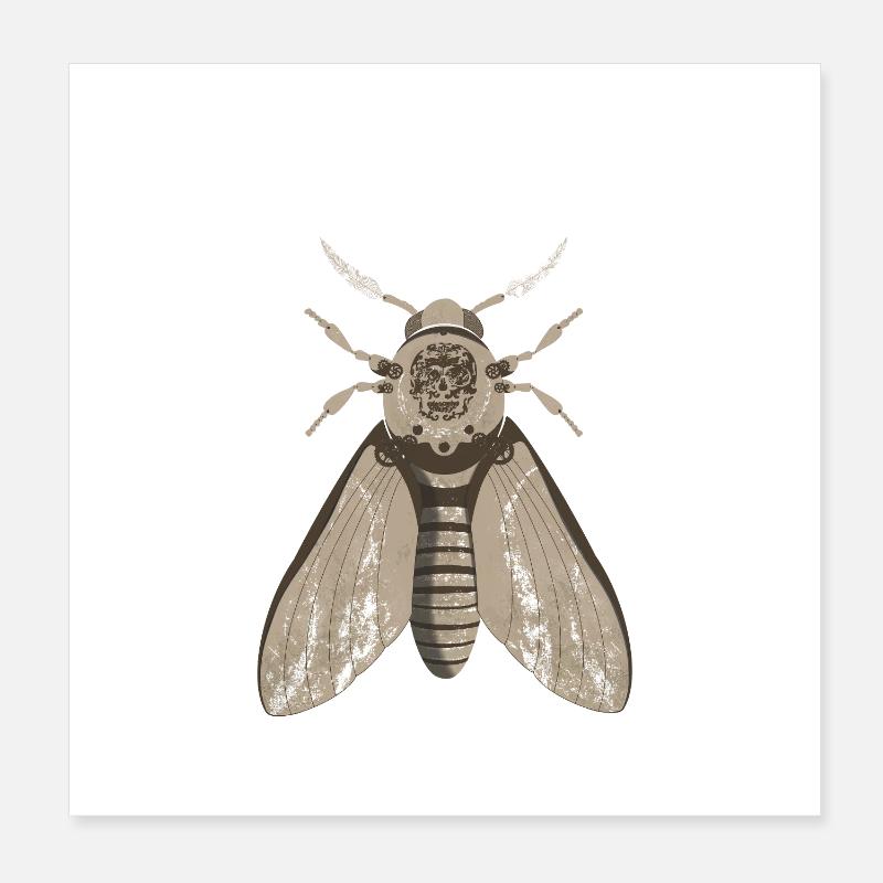 Anatomie du papillon de nuit du crâne Poster 20 x 20 cm