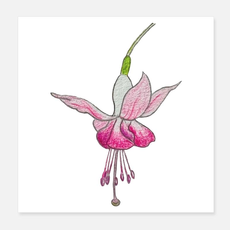 Fleur de fuchsia Poster 20 x 20 cm