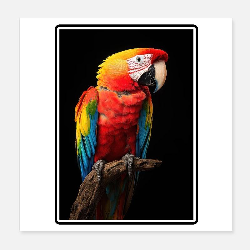 L’ère de l’ara Poster 20 x 20 cm