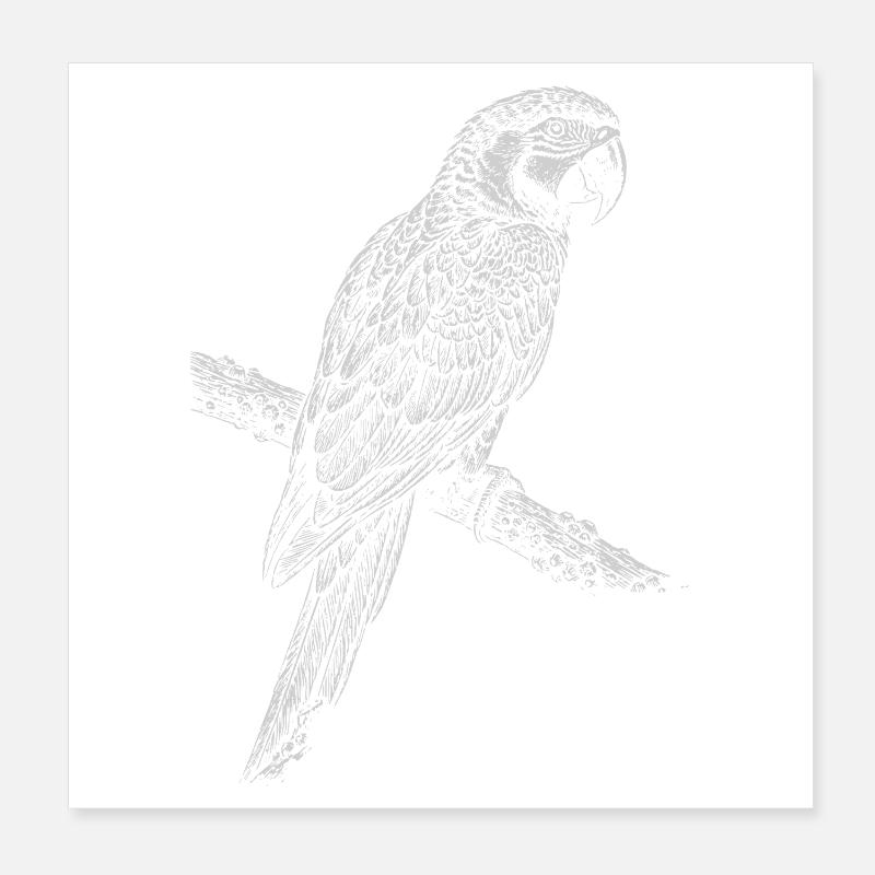 Silhouette de perroquet sur une branche Poster 20 x 20 cm