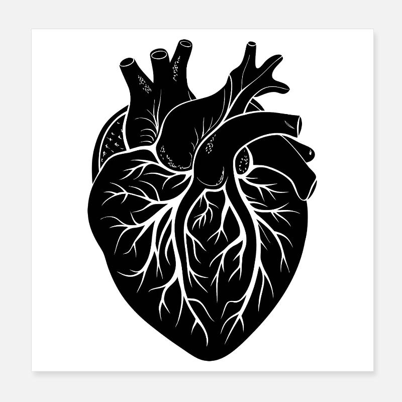 anatomical heart Poster 8" x 8" (20x20 cm)