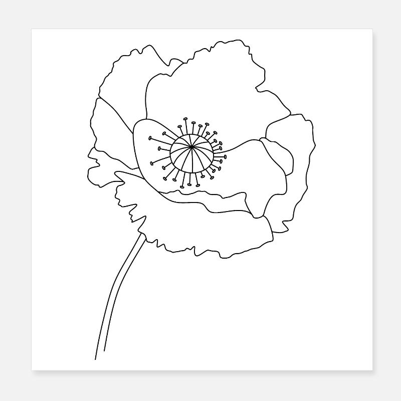 Silhouette de fleur de pavot Poster 20 x 20 cm