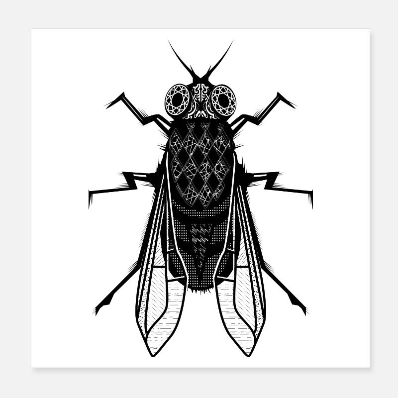 Eine Stubenfliege Poster 20x20 cm