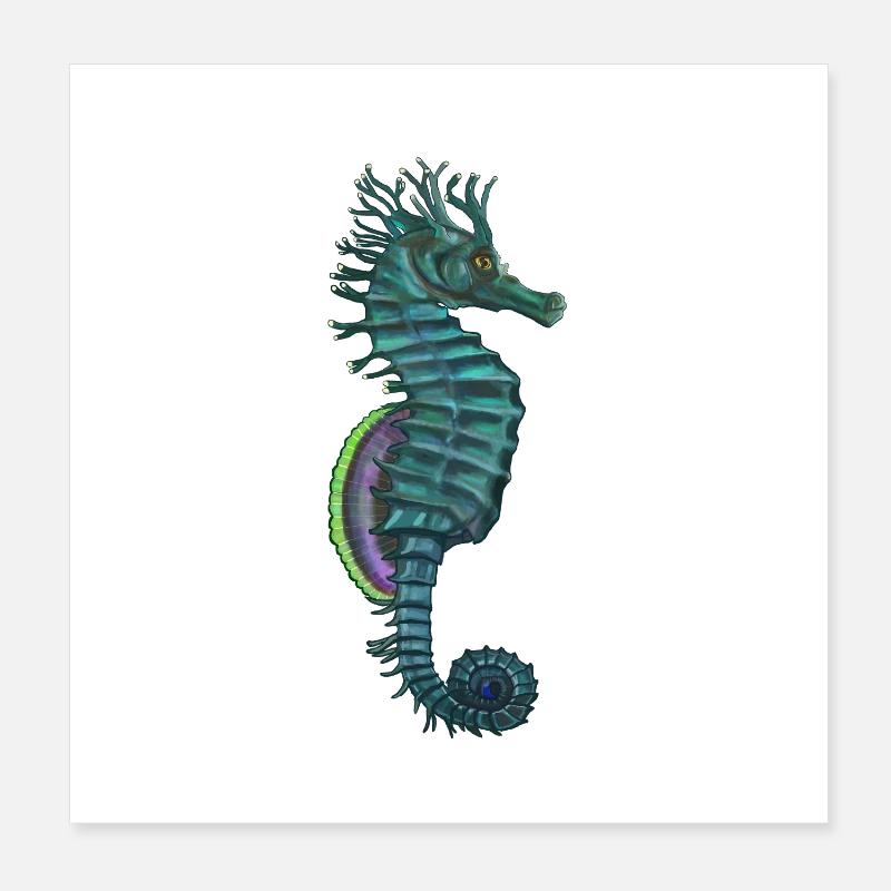 hippocampe Poster 20 x 20 cm