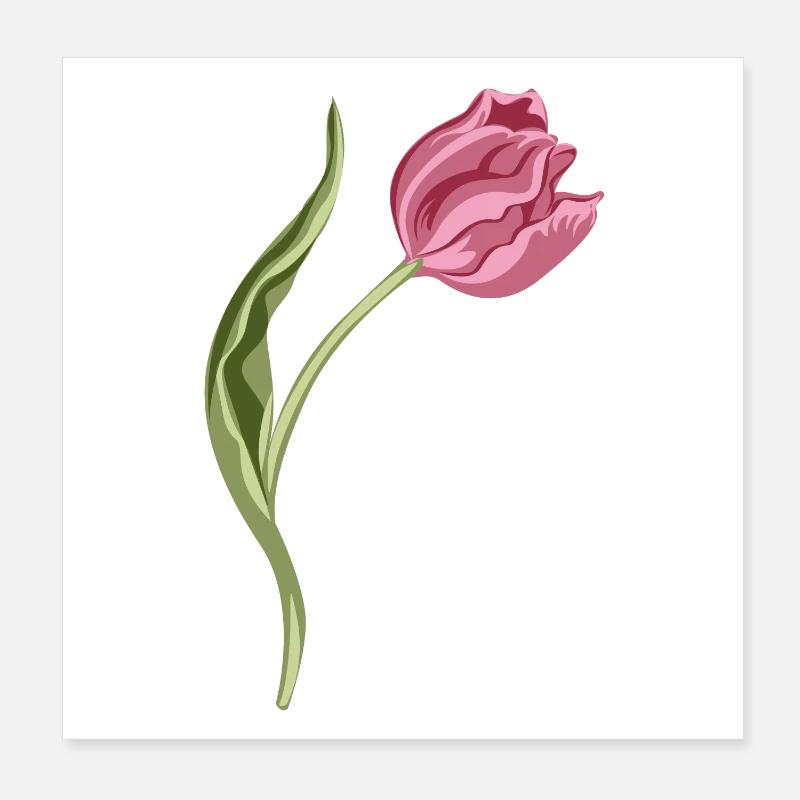 Illustration élégante de tulipe rose Poster 20 x 20 cm