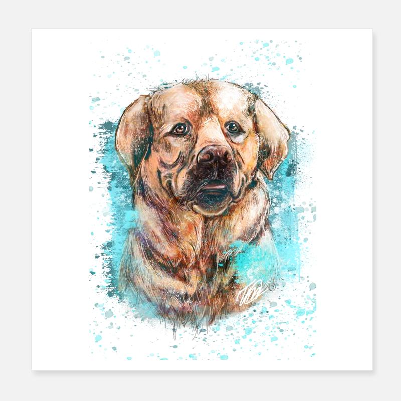 Labrador Hund. Poster 20x20 cm