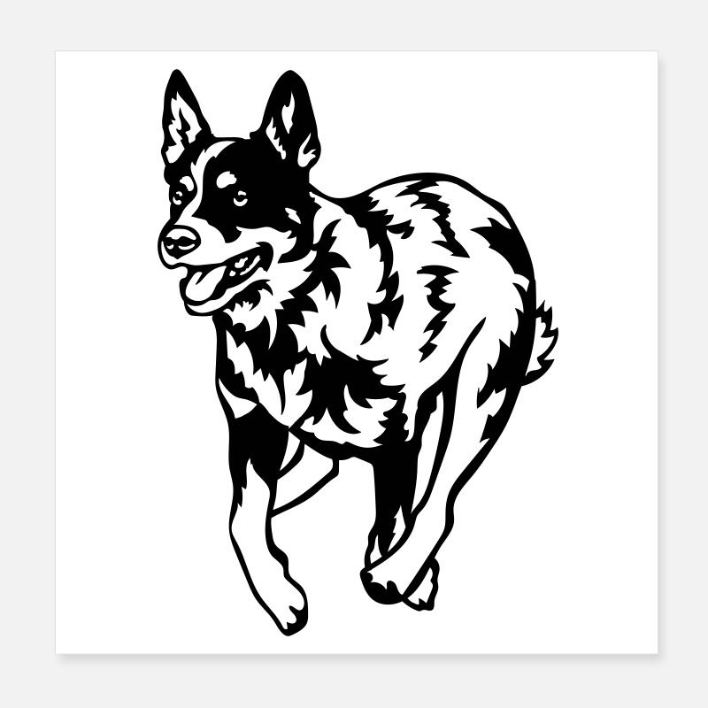 Australian Cattle Dog Poster 8" x 8" (20x20 cm)