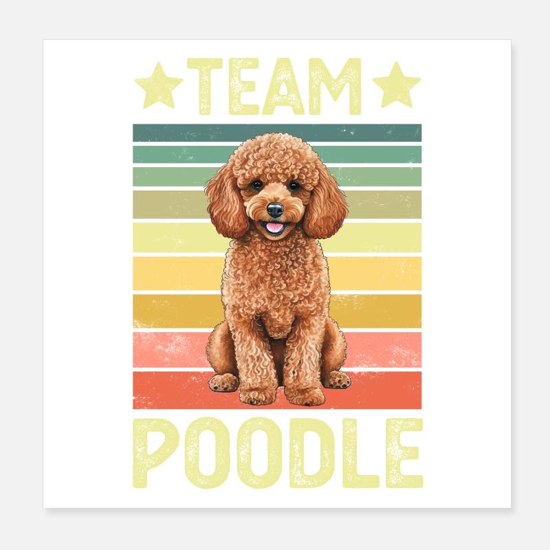 Caniche de chien Poster 20 x 20 cm