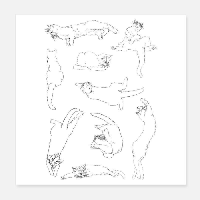 Anatomie du chat Poster 20 x 20 cm
