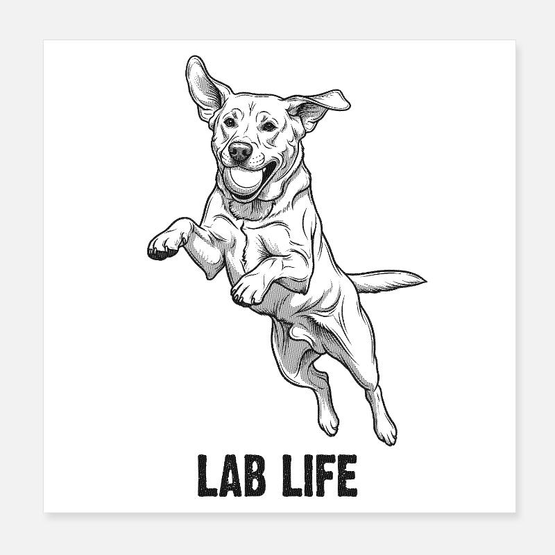 Labrador Lab Life - springender Hund mit Ball  Poster 20x20 cm