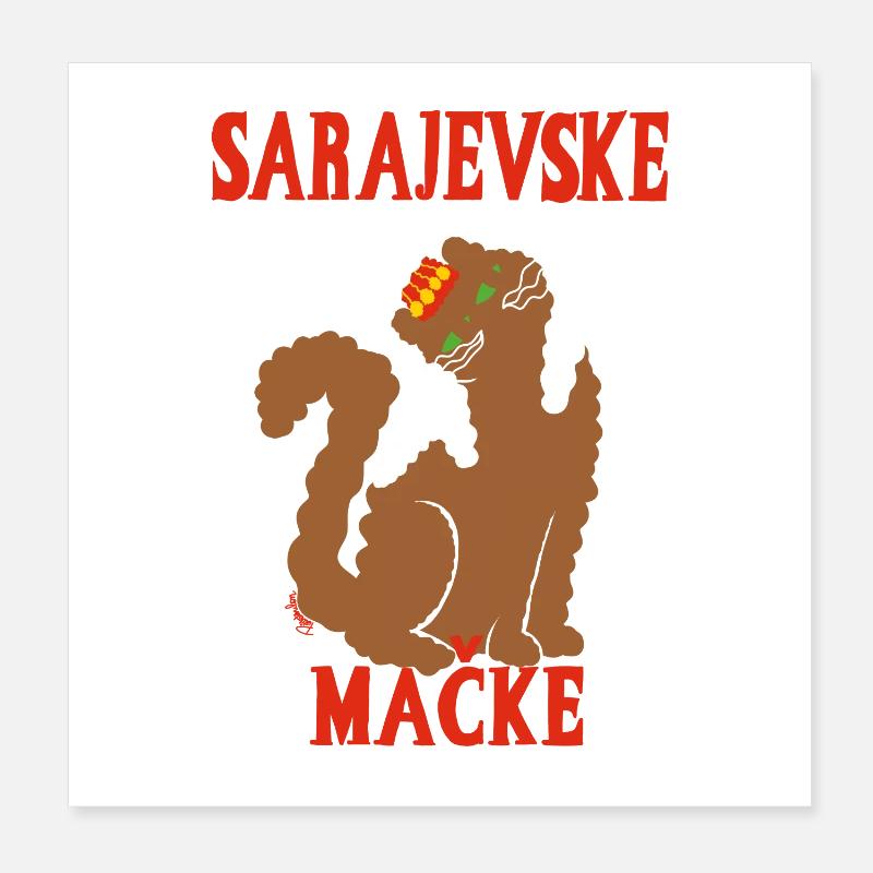 Chat de Sarajevo Bosnie  Poster 20 x 20 cm