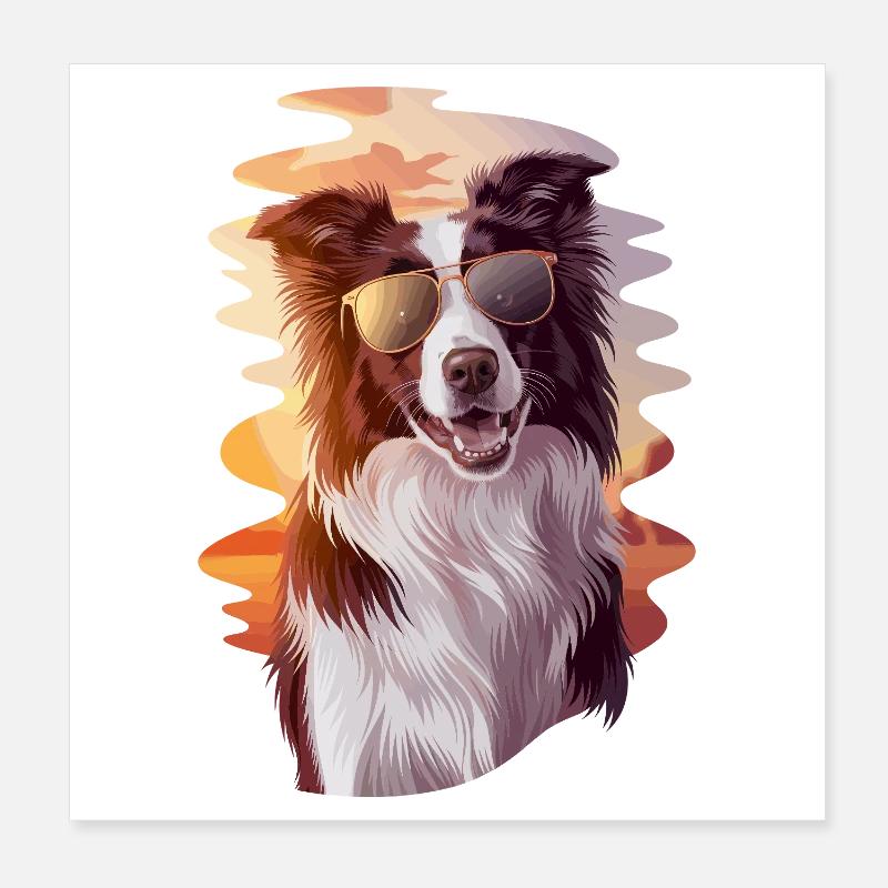 Cool border collie avant le coucher du soleil avec Poster 20 x 20 cm