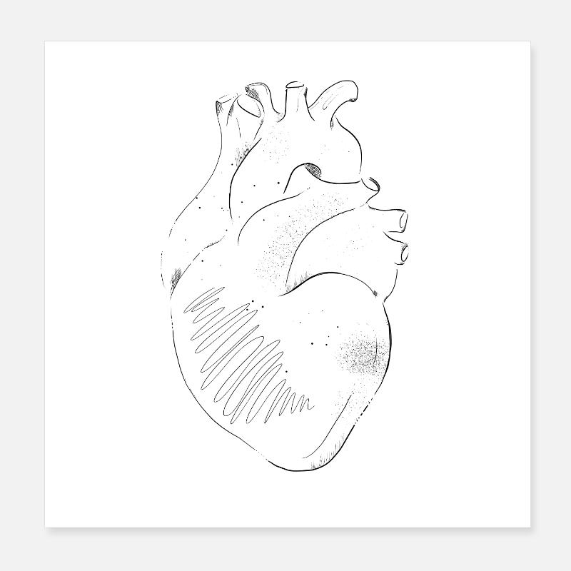 Anatomie Herz Poster 20x20 cm