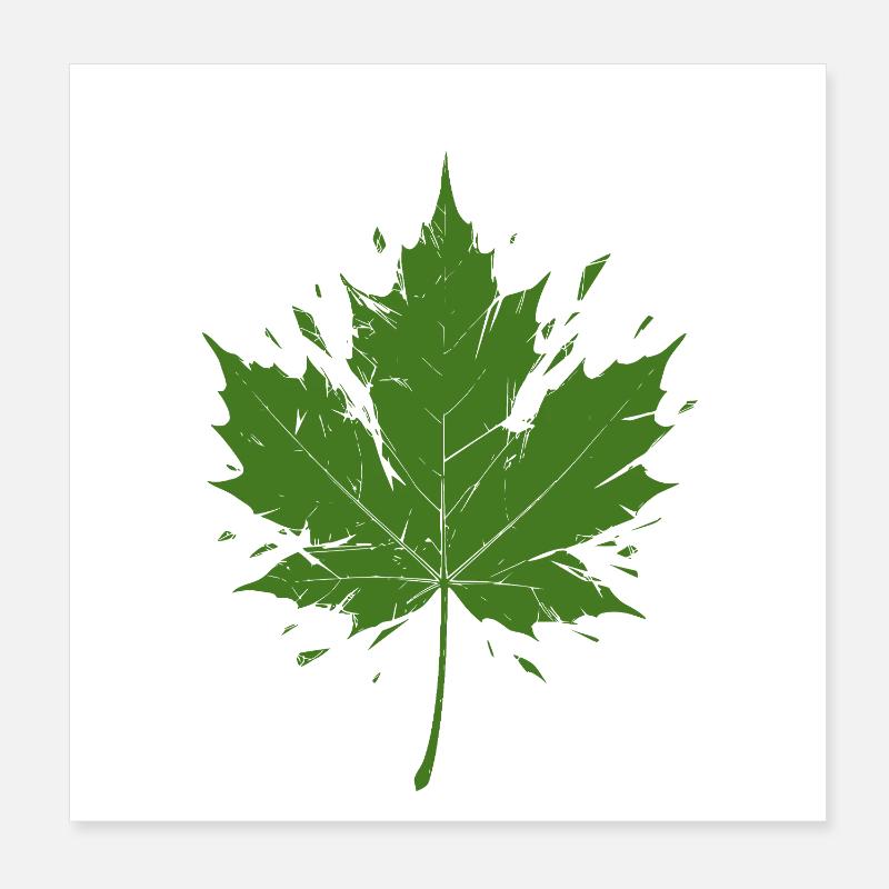 Feuille d’érable verte avec des éclaboussures Poster 20 x 20 cm