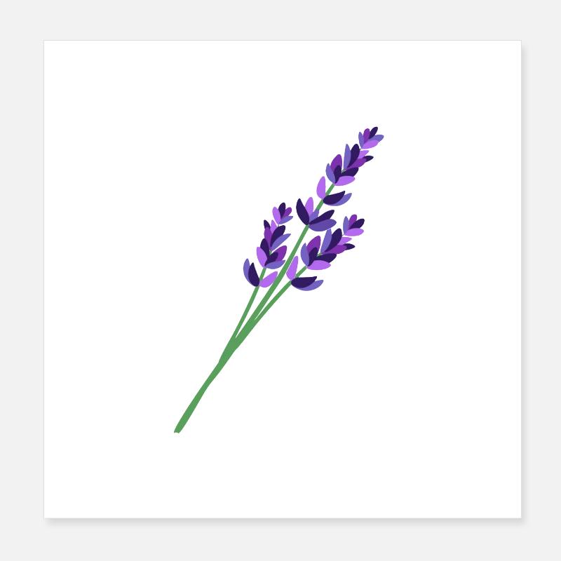 Lavendel 1 Poster 20x20 cm