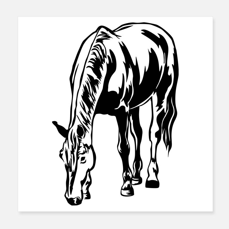 Grasendes Pferd Poster 20x20 cm