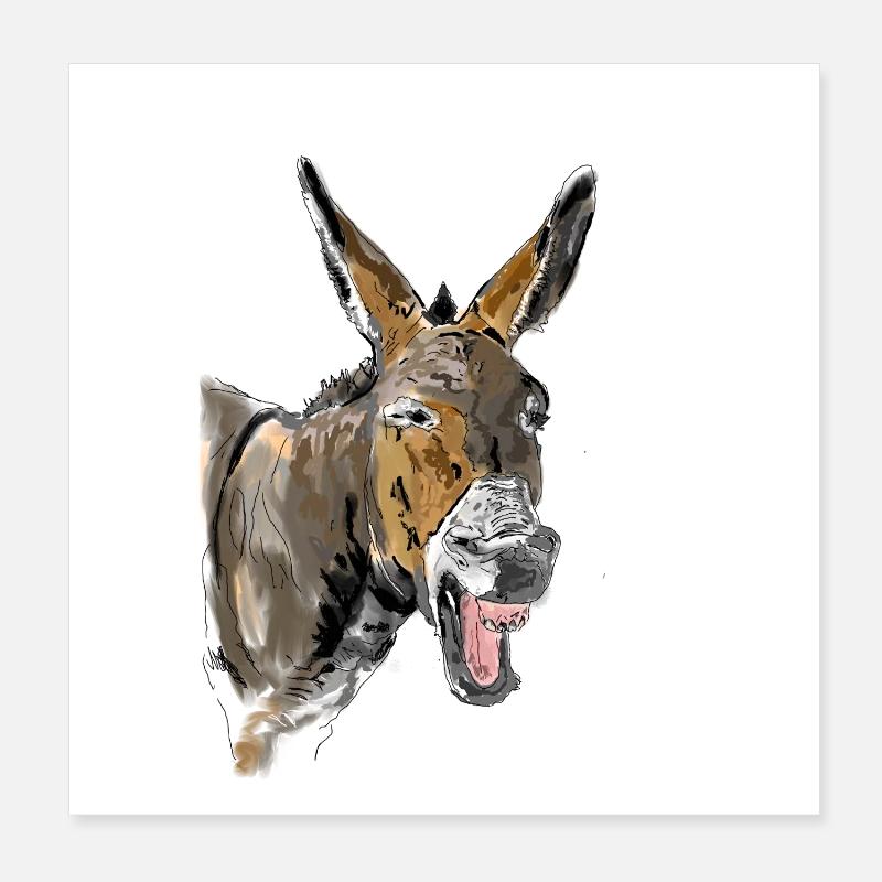Esel Donkey Âne Poster 20 x 20 cm
