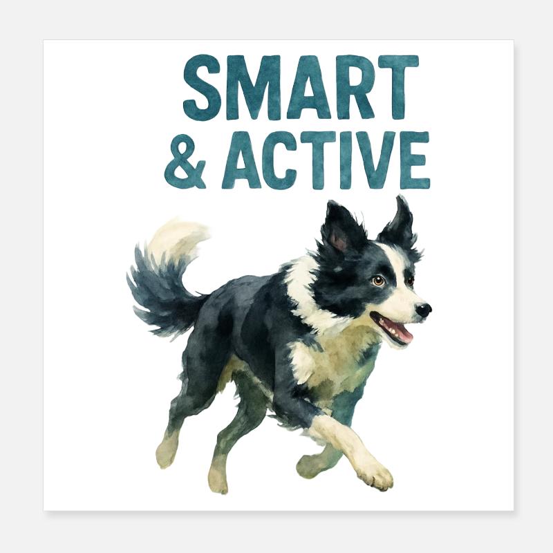 Border Collie Dog Poster 8" x 8" (20x20 cm)