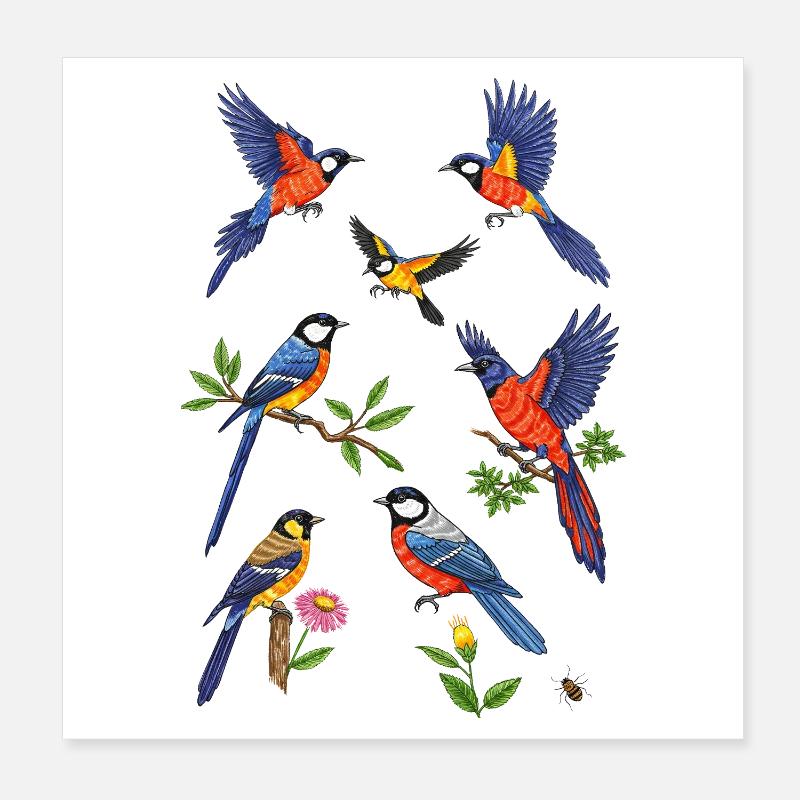 Oiseaux martin-pêcheurs Poster 20 x 20 cm