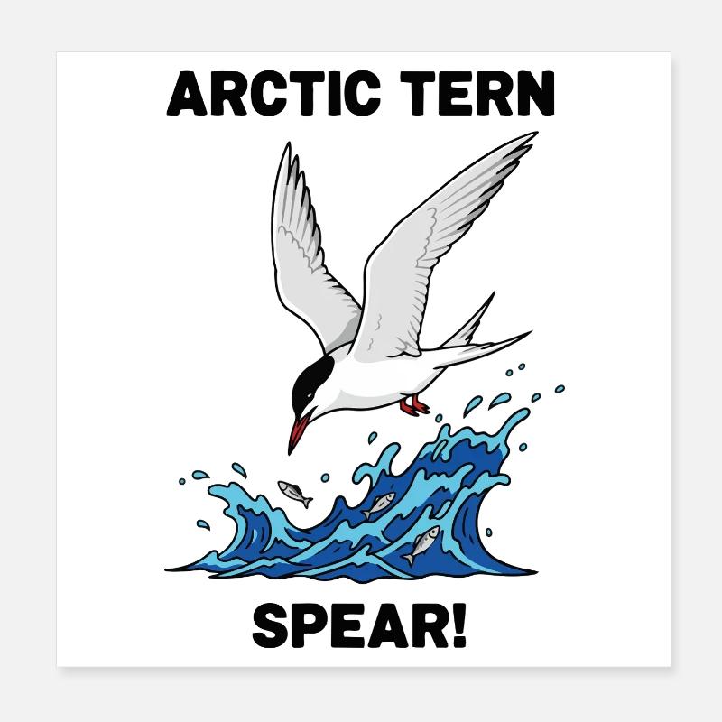 Sterne Arctique Pêche Mer Spear Arctic Tern  Poster 20 x 20 cm