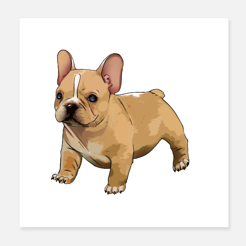 bouledogue français - Poster 20 x 20 cm - blanc