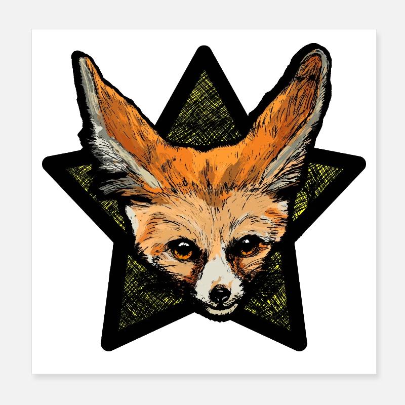 Fennek (étoile colorée) Poster 20 x 20 cm